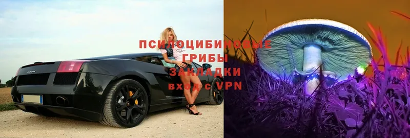 Псилоцибиновые грибы Magic Shrooms Лениногорск